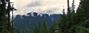 View from Lynn Peak