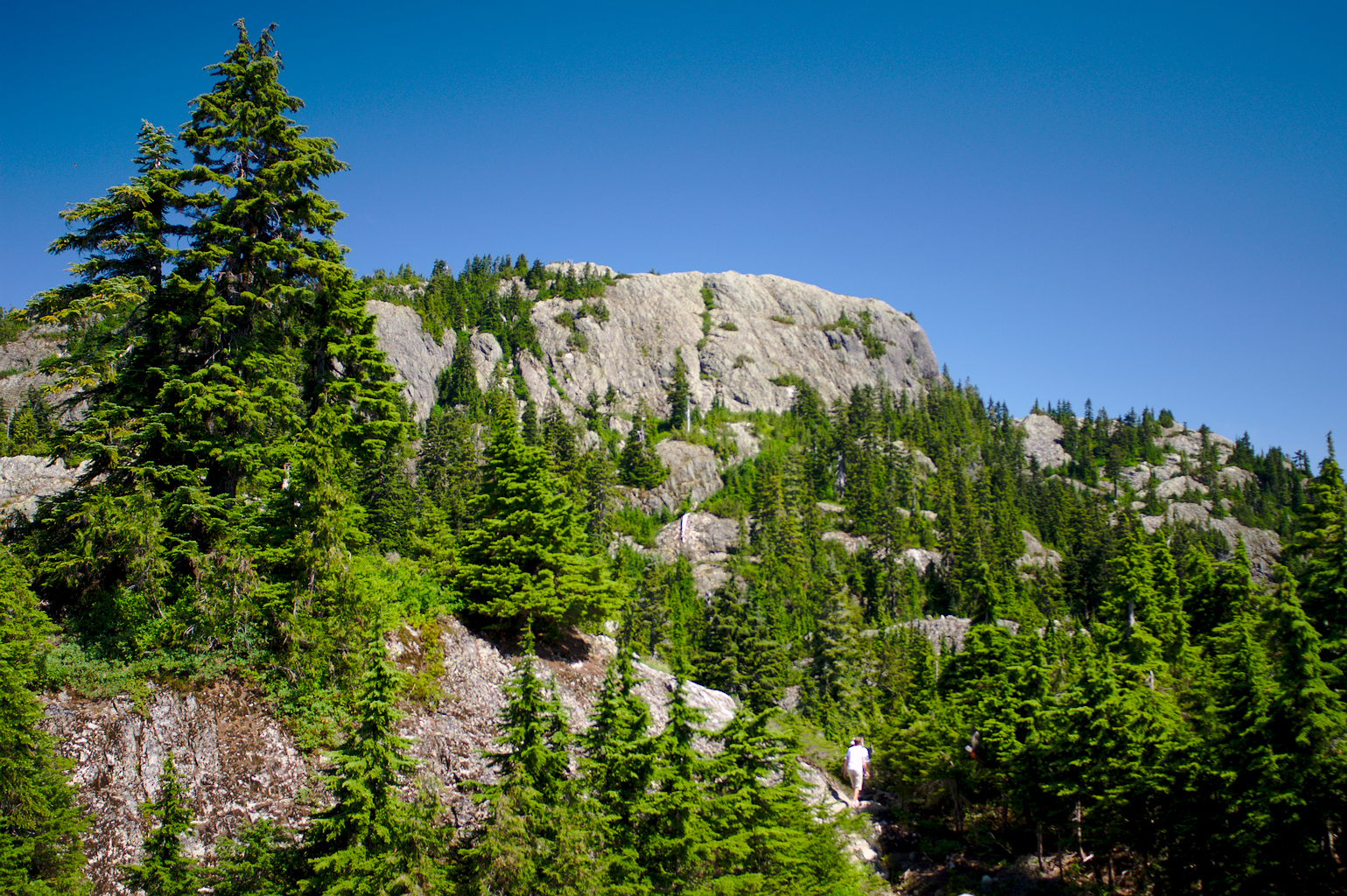 Mt. Seymour