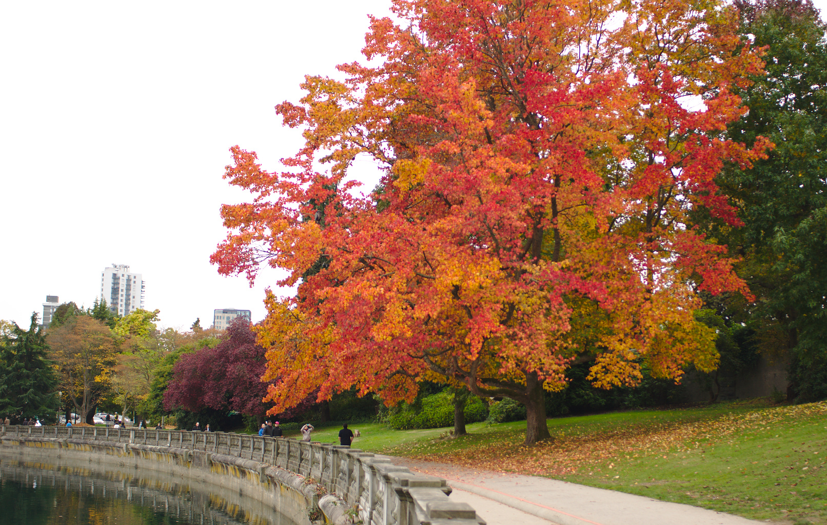 Stanley Park - největší park města a zároveň plíce Vancouveru