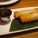 Vegetable spring rolls